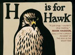 HisforHawk